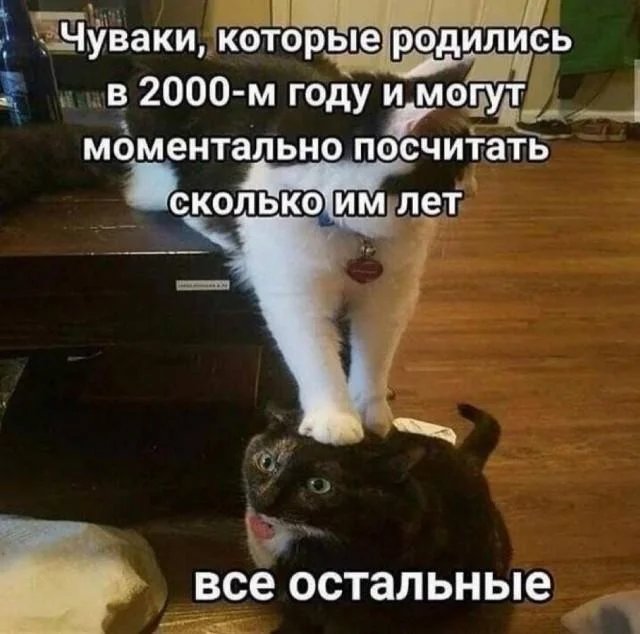 Maybe I'll throw in some more funny pictures... :) - Series Memes
, Humor, Picture with text, Memes, Longpost