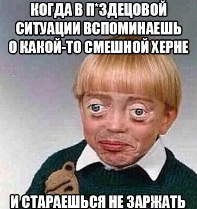 Maybe I'll throw in some more funny pictures... :) - Series Memes
, Humor, Picture with text, Memes, Longpost