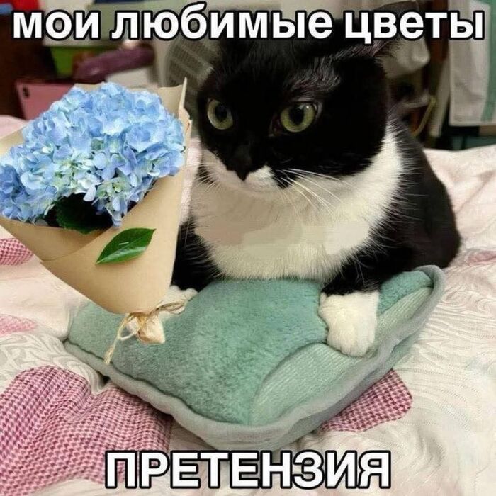 ���� ����, ��� ������������� ������������ �� ����������, ��� ��� � �������� �� �� ������