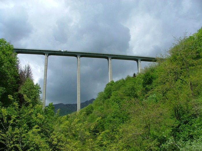 Colossus Bridge