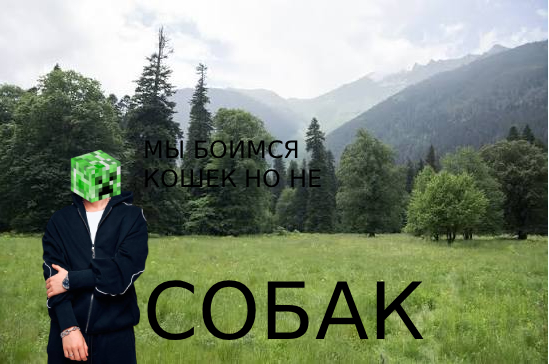Мемы из майна