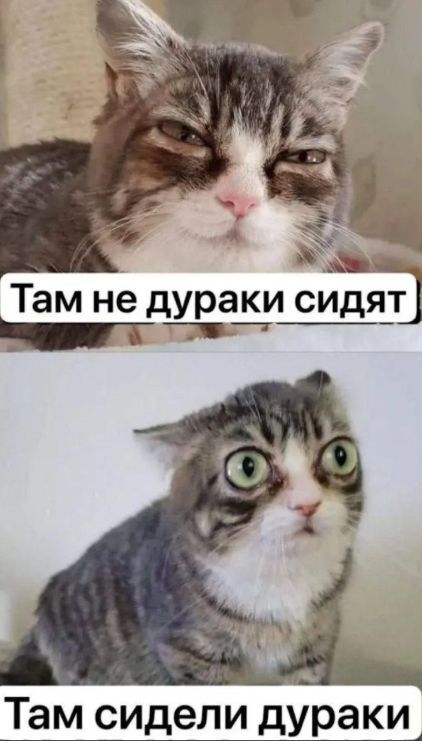 Одна из моих любимых пикчей
