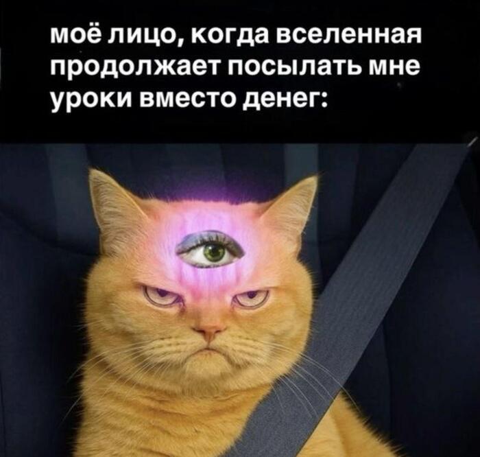 ������� �������