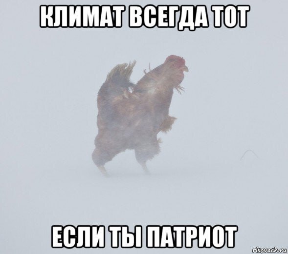 Жизненно