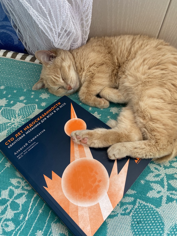 Кот Шредингера
