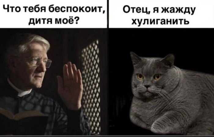 Раскаяния не будет