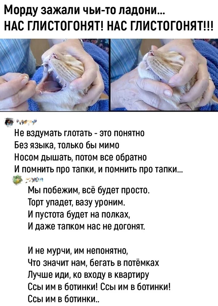 <a href="https://d.pikabu.ru/story/s_pochinom_14123747?u=https%3A%2F%2Fpikabu.ru%2Fstory%2Fnas_glistogonyat_9984842&t=%D0%9D%D0%B0%D1%81%20%D0%B3%D0%BB%D0%B8%D1%81%D1%82%D0%BE%D0%B3%D0%BE%D0%BD%D1%8F%D1%82%21&h=f49c2ddb1cf10b309f7c9d54689eb0517e9cc6b5" title="https://pikabu.ru/story/nas_glistogonyat_9984842" target="_blank" >��� �����������!</a>