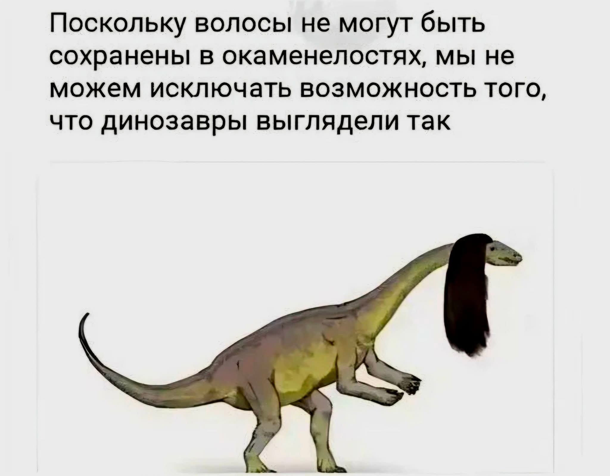Is tomorrow Monday? - Humor, Dinosaurs, Buddhism, cat, Logics, Corben Dallas, Longpost