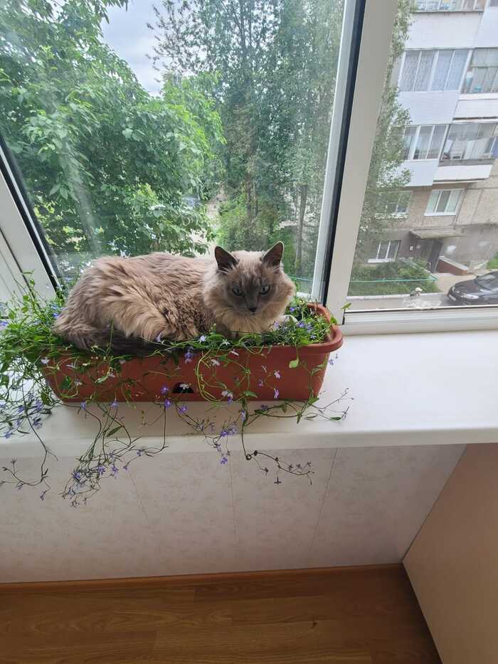 В гостях у бабушки.