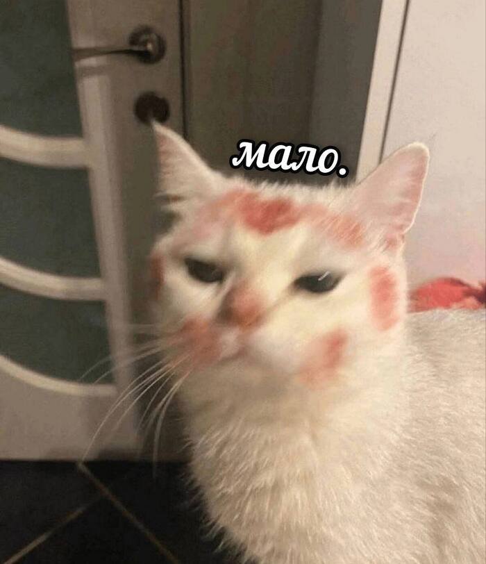 А ну иди сюда досюсюкаю