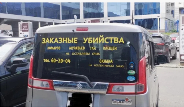 ���� � ���������
