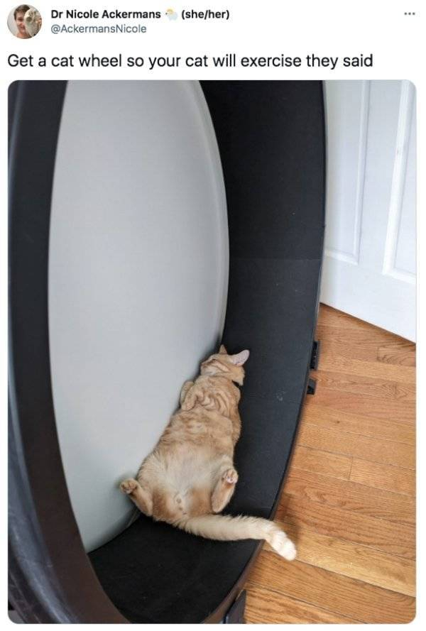 � ���������