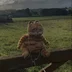 CuKttus