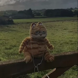 CuKttus