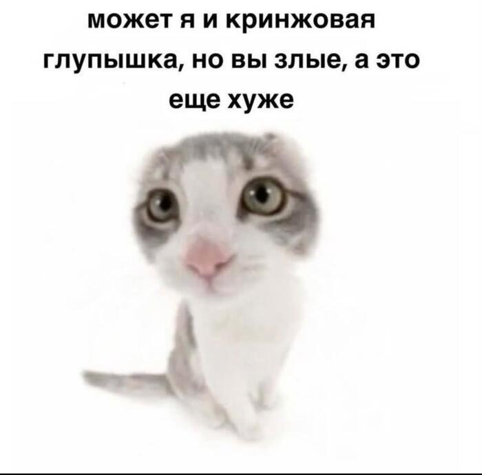 �� ������ ������ �����������