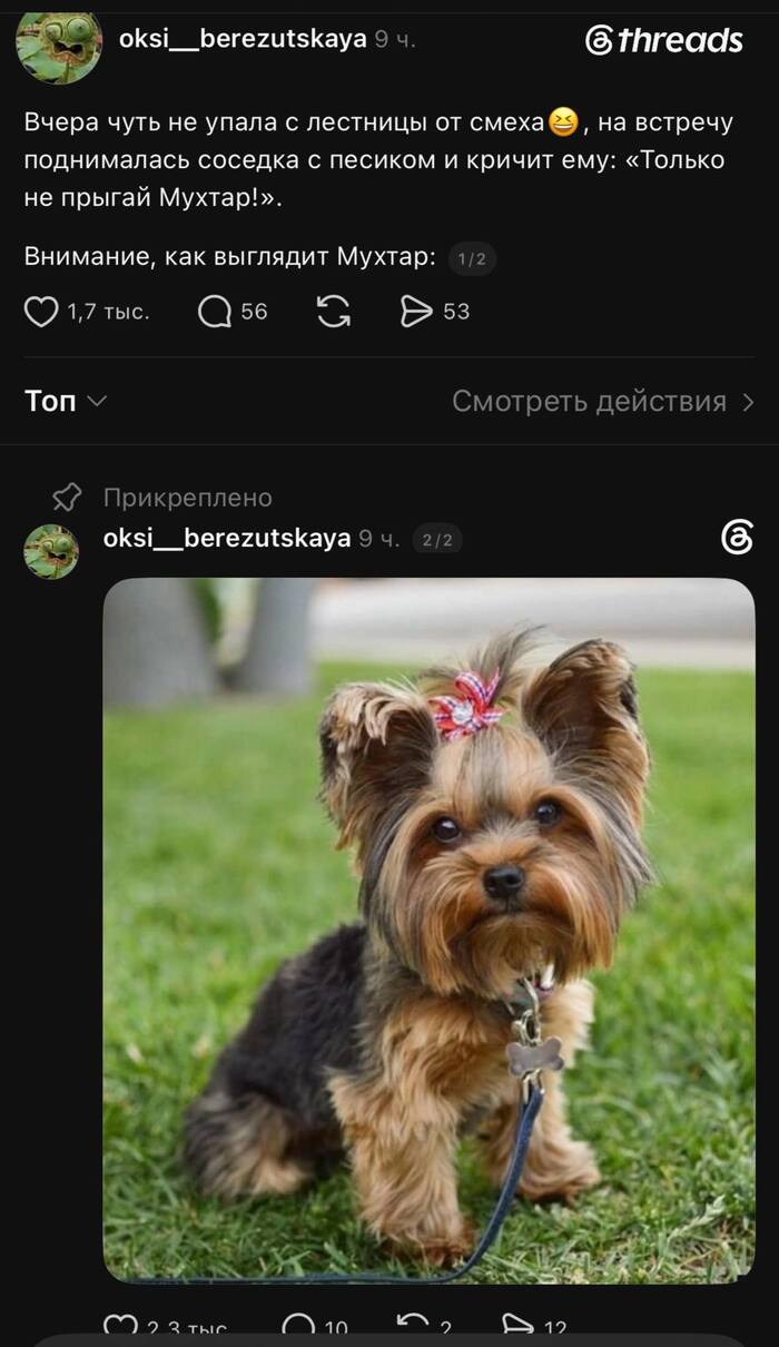 Это Мух )