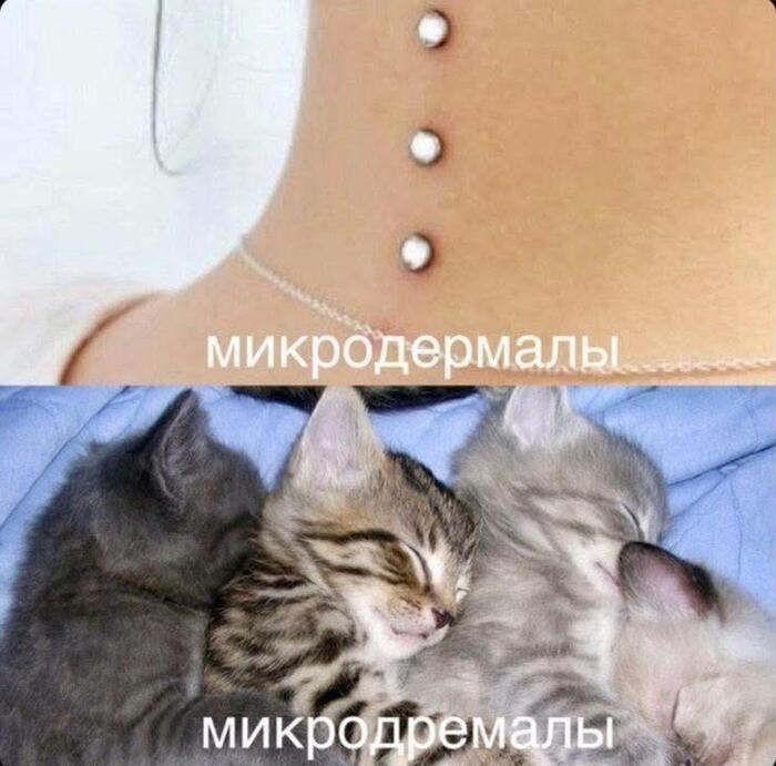 Прочесть правильно с первого раза