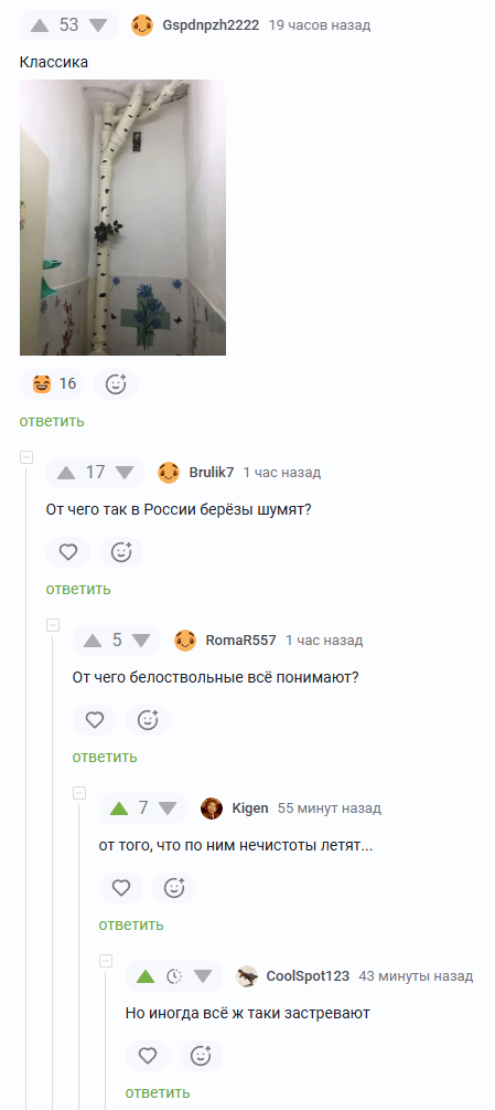 Обнимем же берёзку