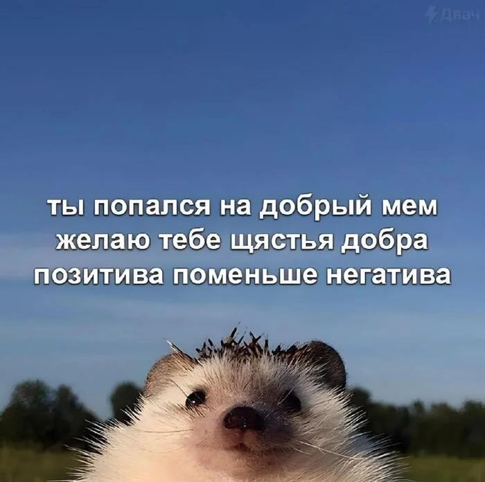 aqadxypo.webp