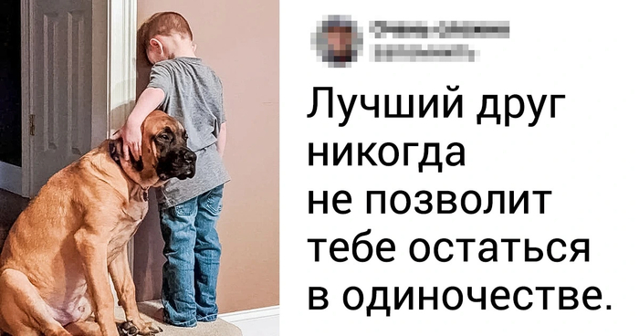 ��� ��������