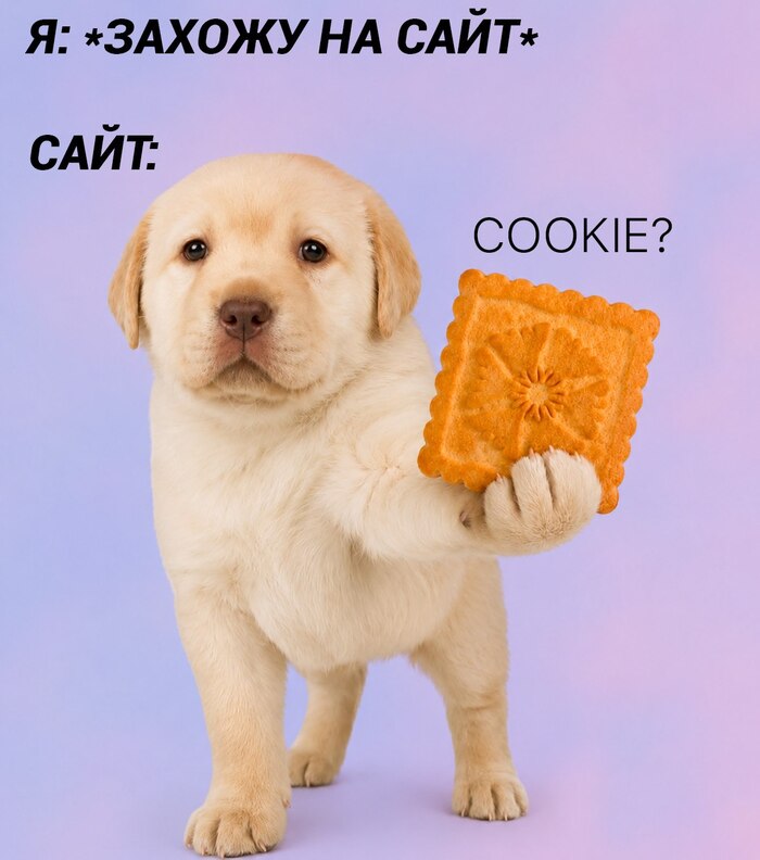 Мне это уже так надоело, а Вам?