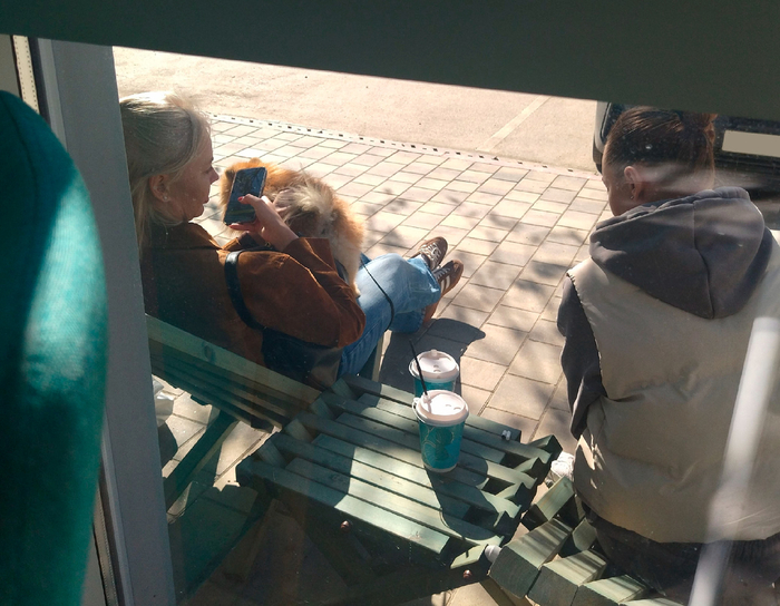 На улице тоже часто вижу такое поведение собак этой породы.