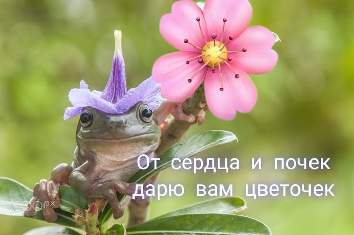 Это вам, мои чюваки