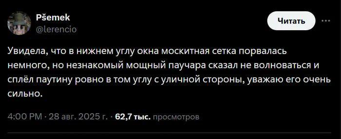 Дружелюбный сосед