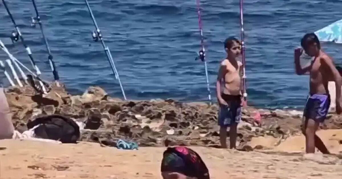 Post 14132666 - Video, Short videos, Vertical video, Vibe, Summer, Beach, Atmospheric