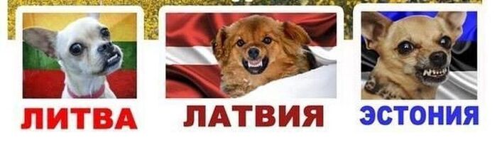 Ответ на пост «Балтийские тигры»