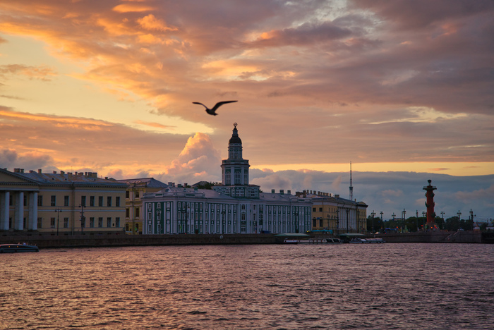 Розовый закат