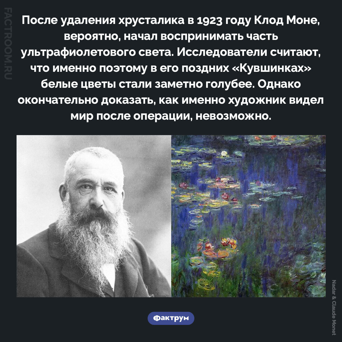 Подборка интересных фактов № 273 - Моё, Познавательно, Факты, Подборка, Картинка с текстом, Фактрум, Хочу все знать, Удивительное, Удивление