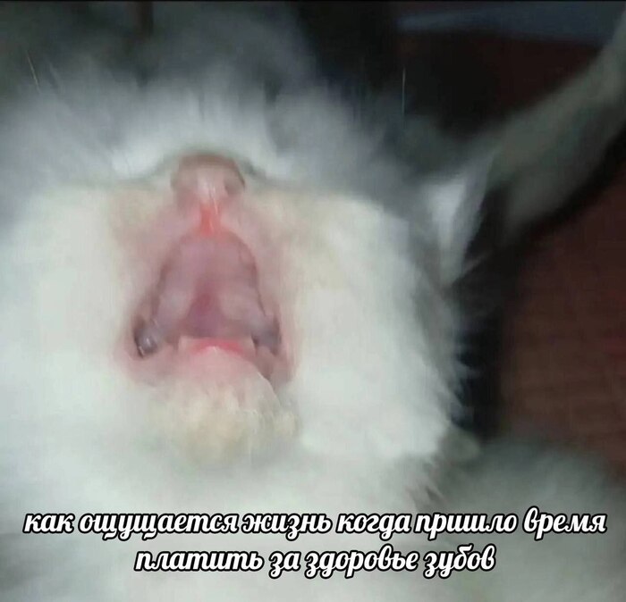 Зубовое ...