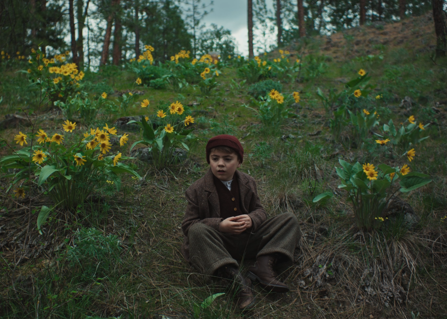 Train Dreams (2025) | 8/10 | The train of time goes on its way. We are just its dreams. - Series Emotionally about cinema, My, Longpost, Review, I advise you to look, Drama, Joel Edgerton, Felicity Jones, Netflix, Screen adaptation