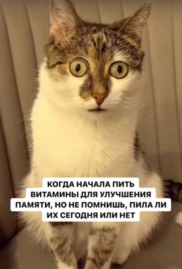 For those interested in memes, here are some - Series Memes
, Humor, Picture with text, Memes, Long, Strange humor, Sad humor, Longpost