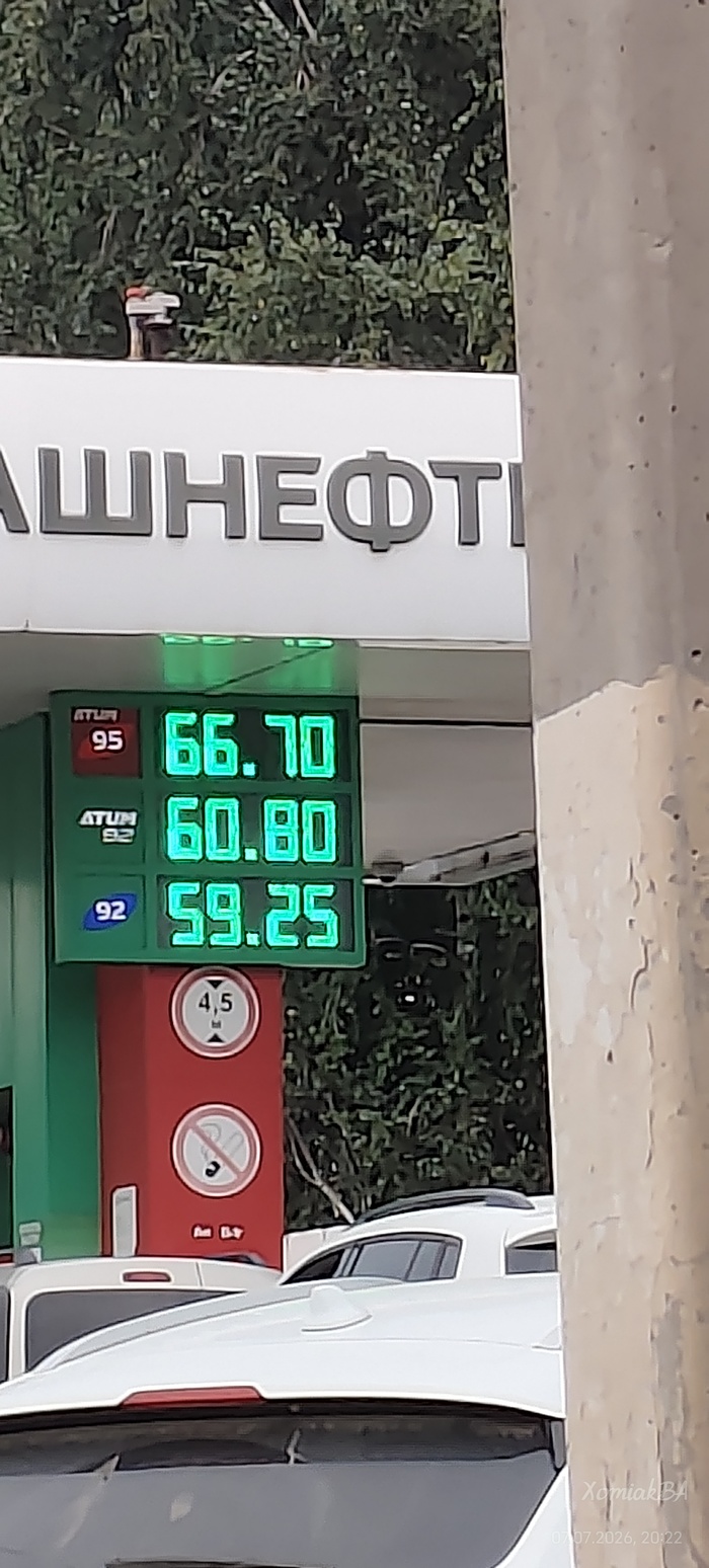 Ответ на пост «Ответ на пост "Покажите последнюю фотографию, которую вы сделали просто потому что вам было красиво"»