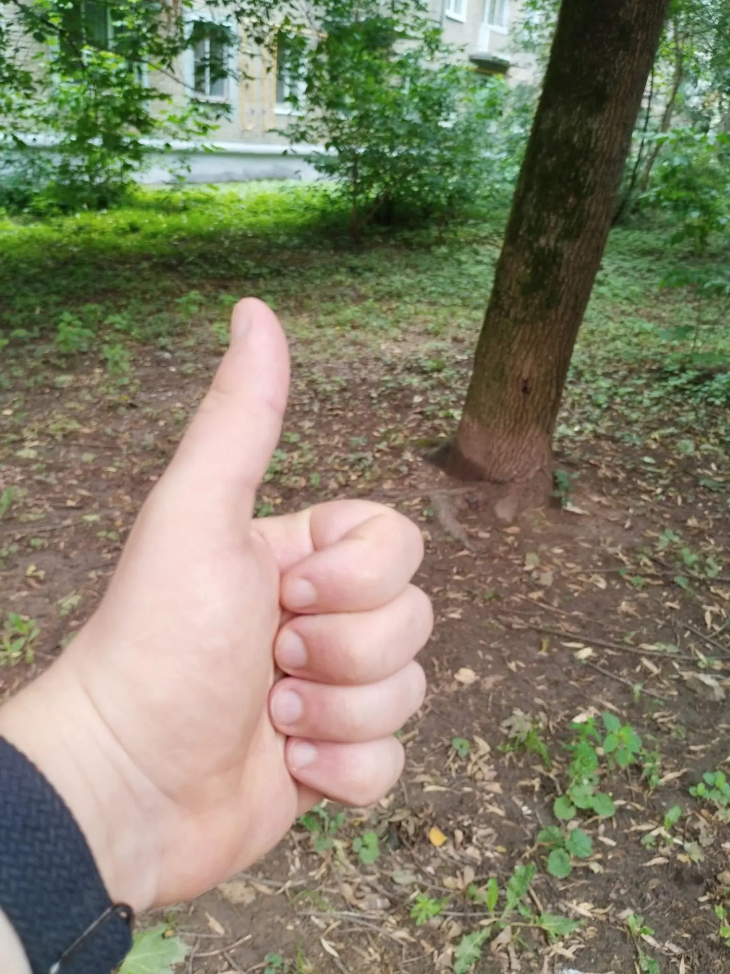 Psychological Marathon, Day 7. Supervision - Series Psychological marathon of motor activity, My, Good mood, Psychology, Fatigue, The moral support, Slimming, Stress, Longpost