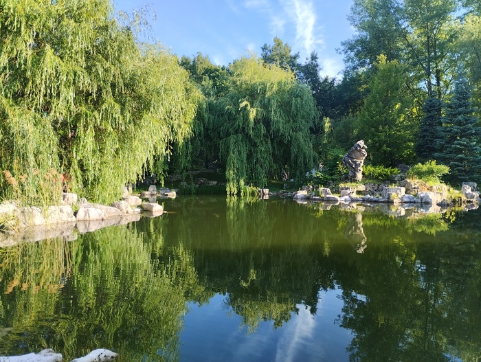 Китайский парк камней в Мск