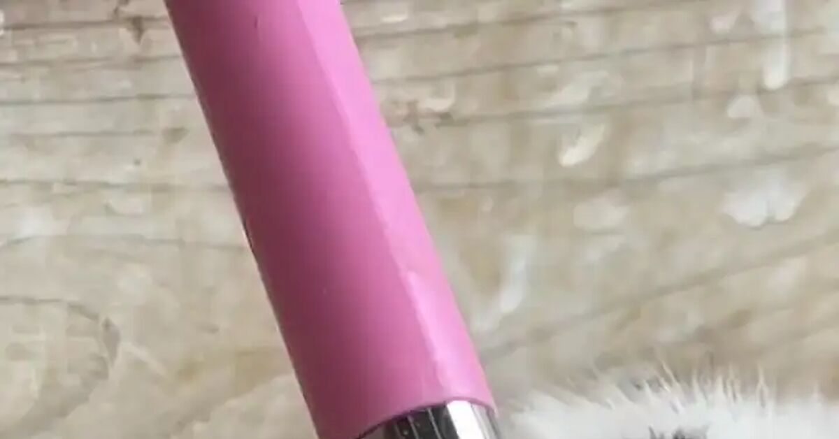 Someone had to figure out that this would be convenient for rodents... - Rodents, Drinking bottle, Guinea pig, Slow motion, Video, Vertical video, Short videos