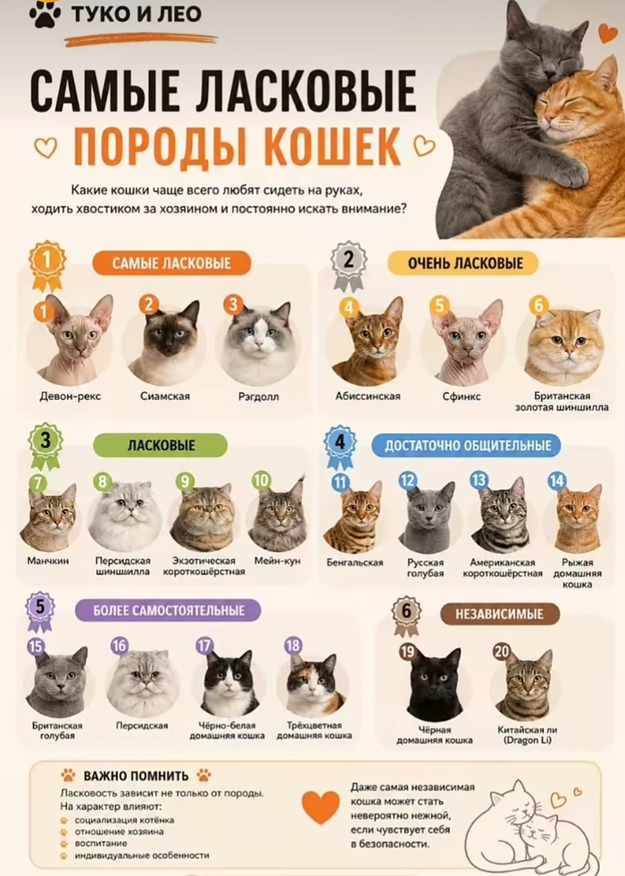 А у вас какая?