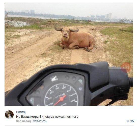 Memes July 12, 2026 A.D. - Picture with text, Memes, Images, Humor, Strange humor, Longpost, A selection, Video