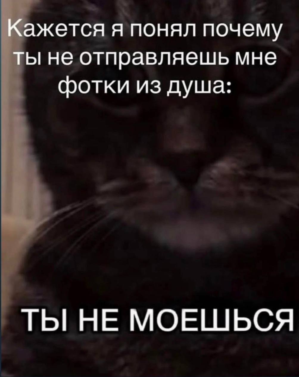 Combo 7 - Series Combo, Humor, Picture with text, Memes, Longpost, Hardened