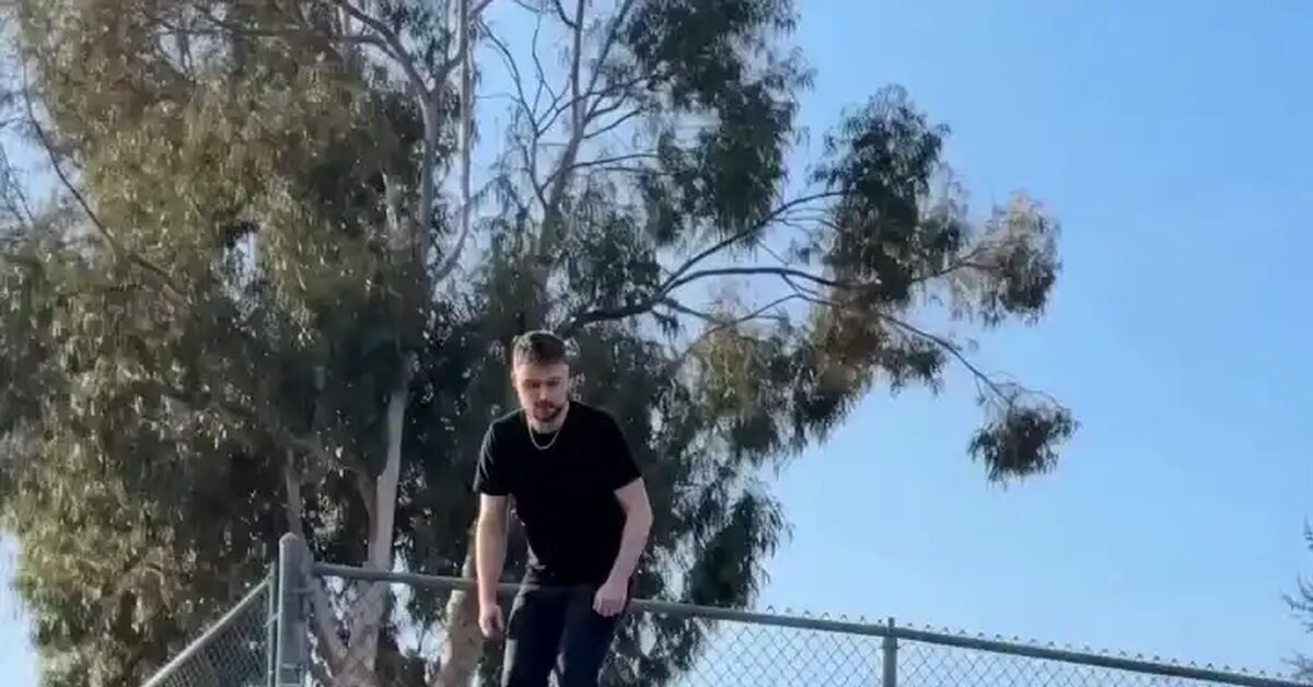 A dangerous stunt in dograzing - Neural Network Content, Neural Networks, Artificial Intelligence, Computer graphics, Video, Vertical video, Short videos