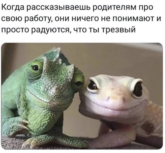 ������������� ���������� ���������, ��� �� ���������� �������� ���������, ��� �� �����������?
