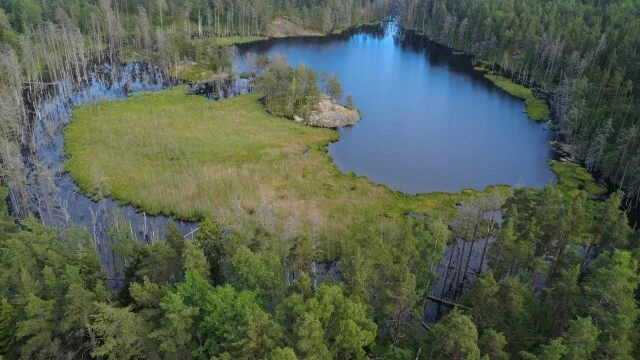 Journey through Karelia. Chapter 1: Ladoga Skerries. Part 4 - My, Skerries, Карелия, Ladoga, Lake, Alloy, Australian shepherd, Kayak, Rain, Beach, The rocks, Hike, Weather, Longpost