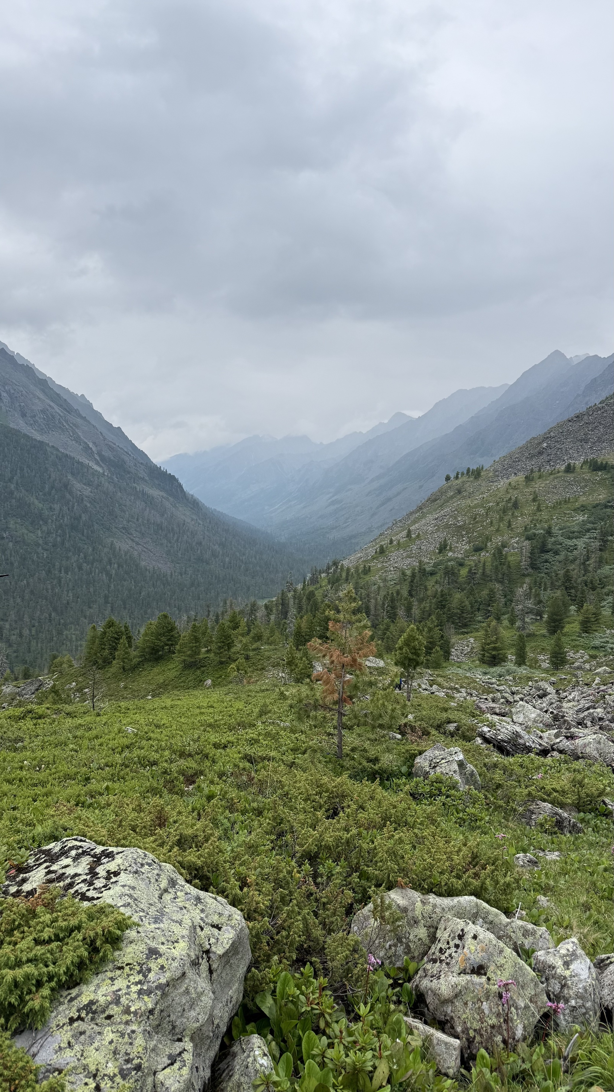The Arkhut and Kharimta River Valleys. Buryatia, Sayan Mountains - My, Russia, Siberia, Sayan, Eastern Sayans, Nature, wildlife, Baikal, Buryatia, Irkutsk region, The mountains, Hike, Mountain tourism, Lake, The rocks, The photo, River, Beautiful view, Arshan, Longpost