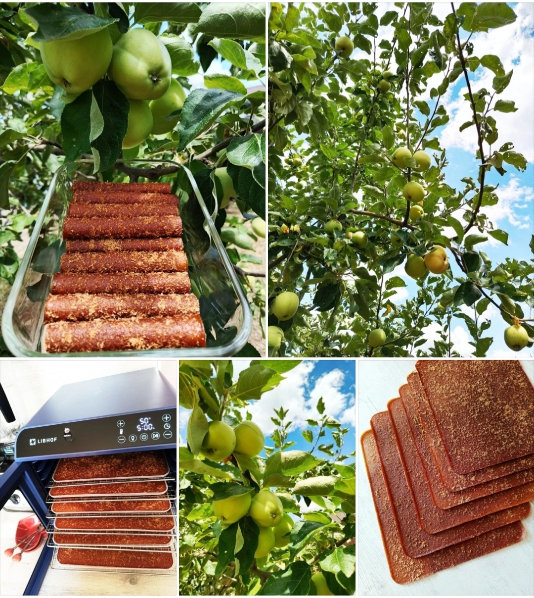 May this summer be bright, cozy, and truly inspiring for everyone! - My, Apples, Pastila, Sweets, Proper nutrition, Healthy eating, Health, beauty, Garden, Gardening, Summer, Food, Kitchen, Sweet tooth, A life, Cooking