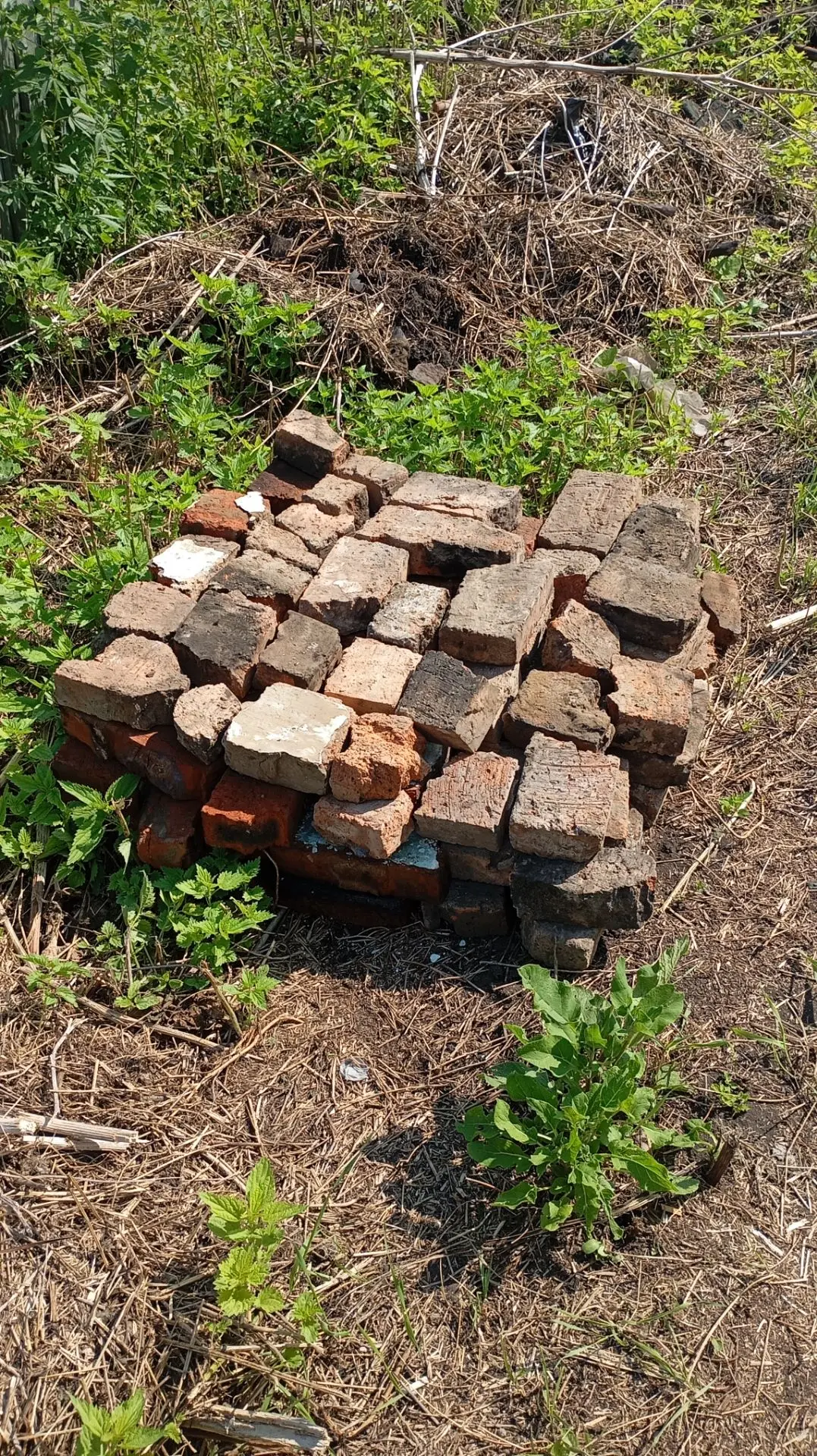 Continuation of the post Affordable Housing, Damn It - Series The hedgehog is being built, My, Lodging, House, Building, Finishing, Repair, Garden, Outside the city, A life, The property, Mortgage, Mat, Reply to post, Longpost