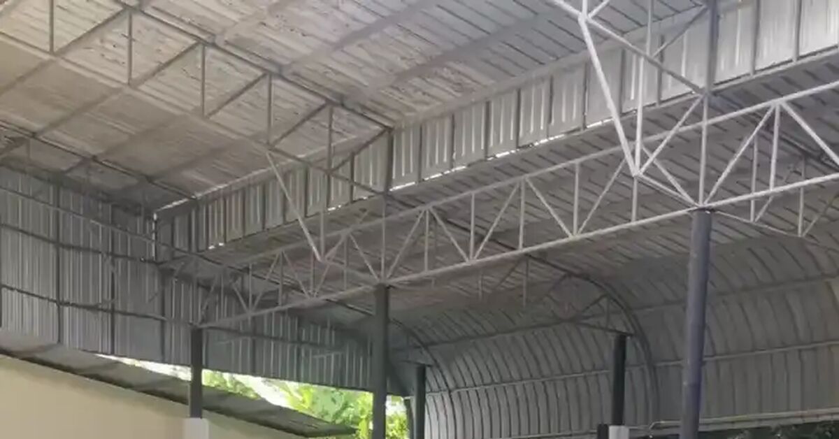 Post #14146002 - My, Crocodiles, Show, Thailand, Video, Vertical video
