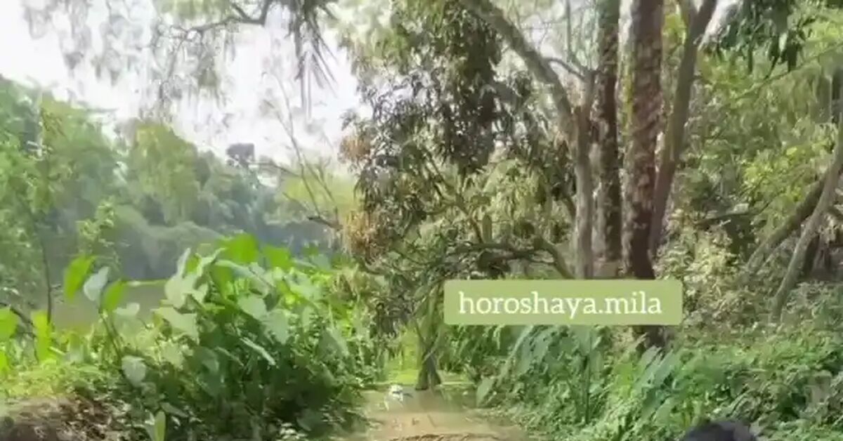 So, we washed the carrots. - Carrot, the washing up, Video, Vertical video, Short videos, Telegram (link)